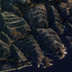 Illustration for article titled Here's Another Wonderful Map to Play Minecraft on
